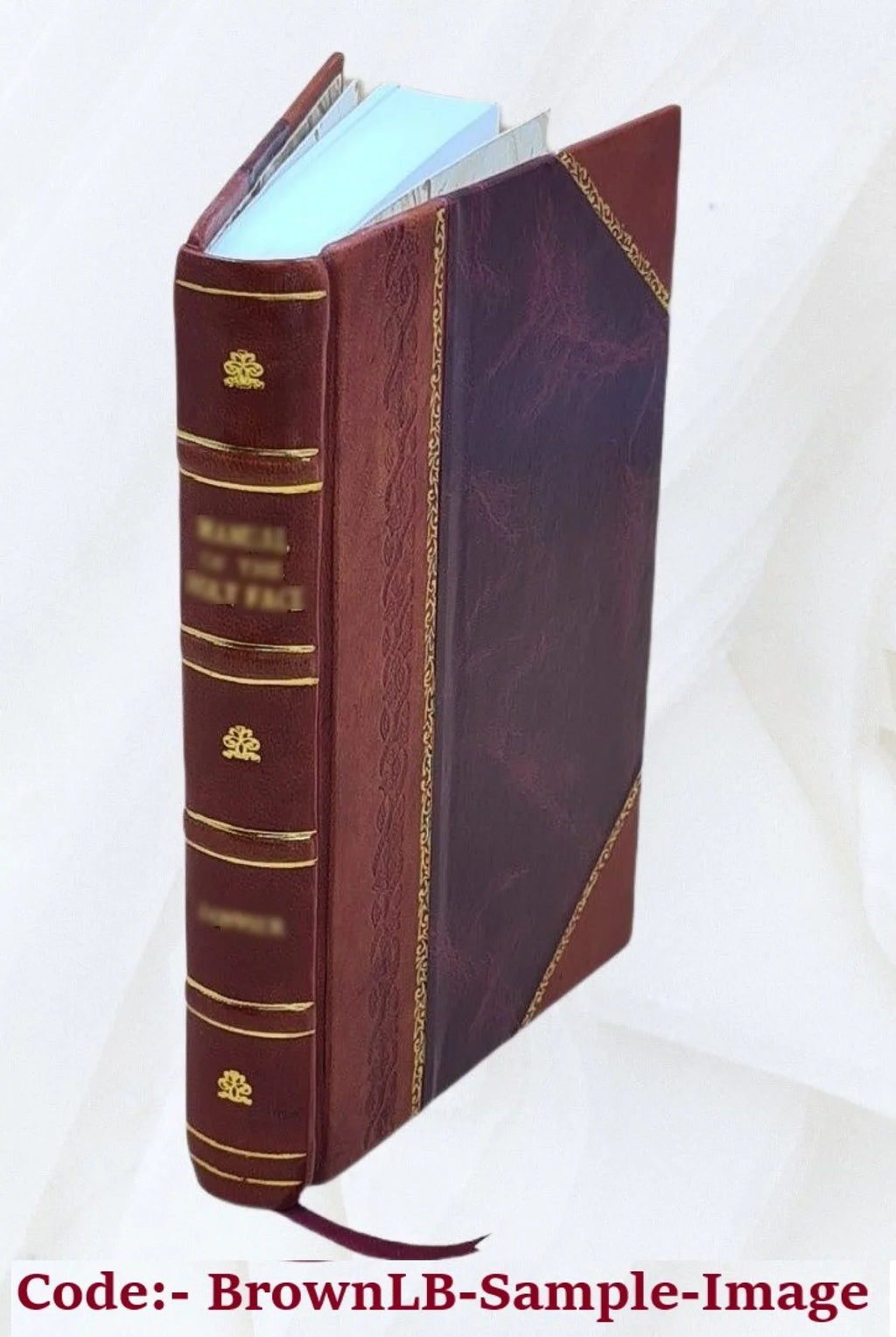 Philippi Bonamicii de claris pontificiarum epistolarum scriptoribus 1770 [Leather Bound]