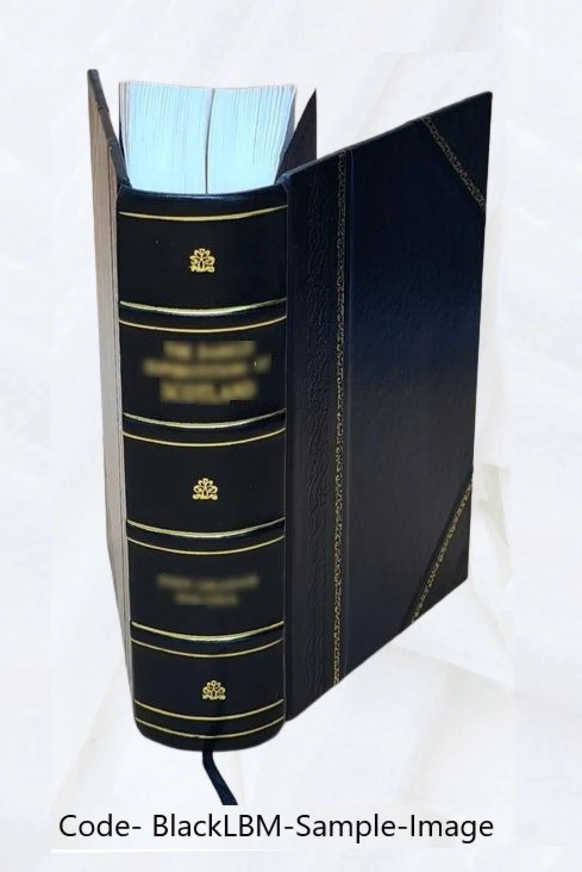 Bibliografia polska. [Sizetólecie XV-XVIII] .. Volume 18 2022 [Leather Bound]