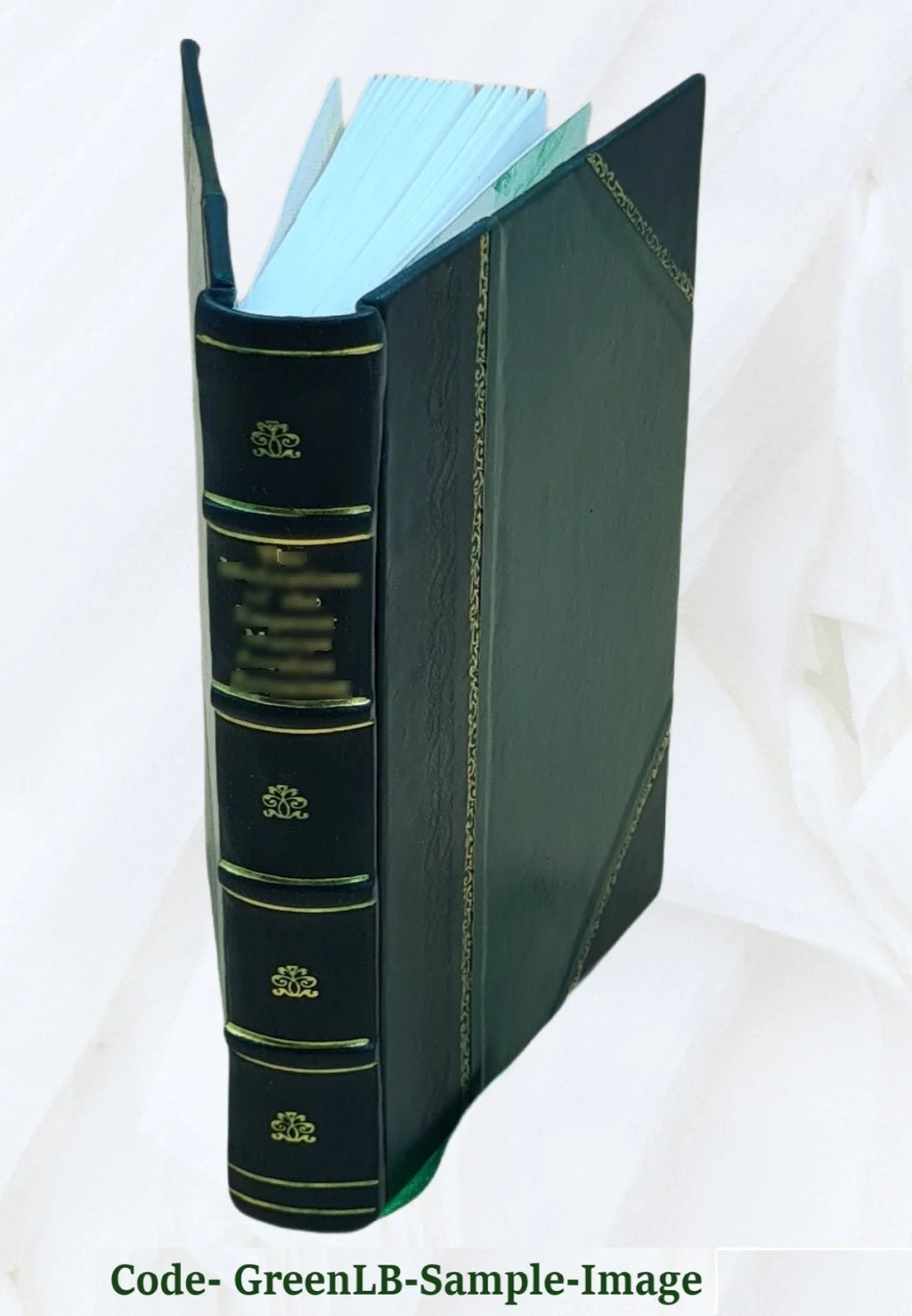 Los consejos del Rey durante la edad media: Sizeu formación autoridad y principales acuerdos en ... Volume 2 1892 [Leather Bound]