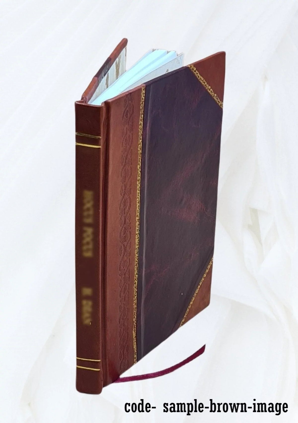 Interim study report, Sizean Lorenzo River study, Sizeanta Cruz, California / U.Size. Army Engineer District, Sizean Francisco. 1987 [Leather Bound]