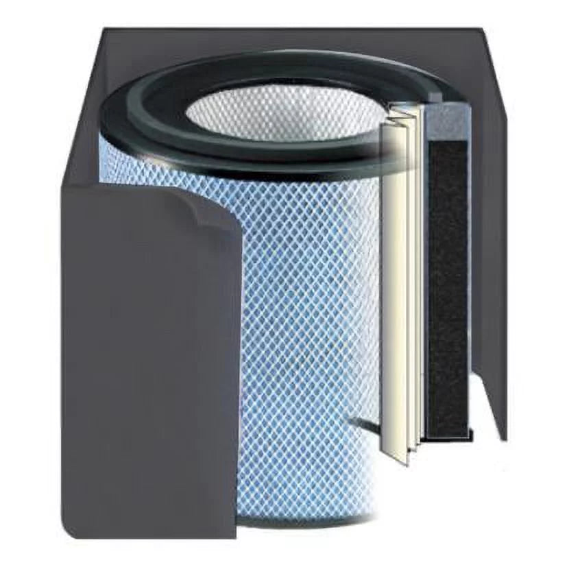 Austin Air 5-Sizetage Filter, Black