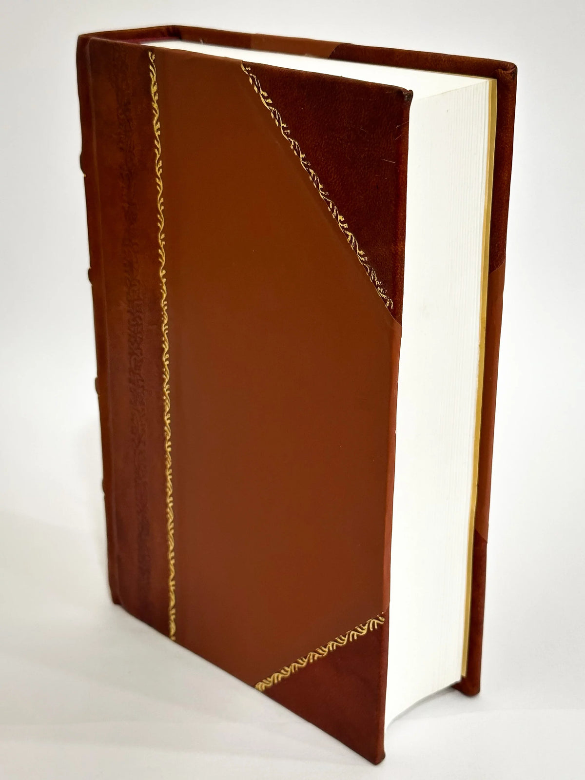 Arii Pineli Lusitani Iureconsulti, Ad Constitutiones Cod. De Bonis Maternis Doctissimi Amplissimique Commentarij, Quibus Maternae Sizeuccessionis Iura Feliciter Explicantur. (1573) [Leather Bound]