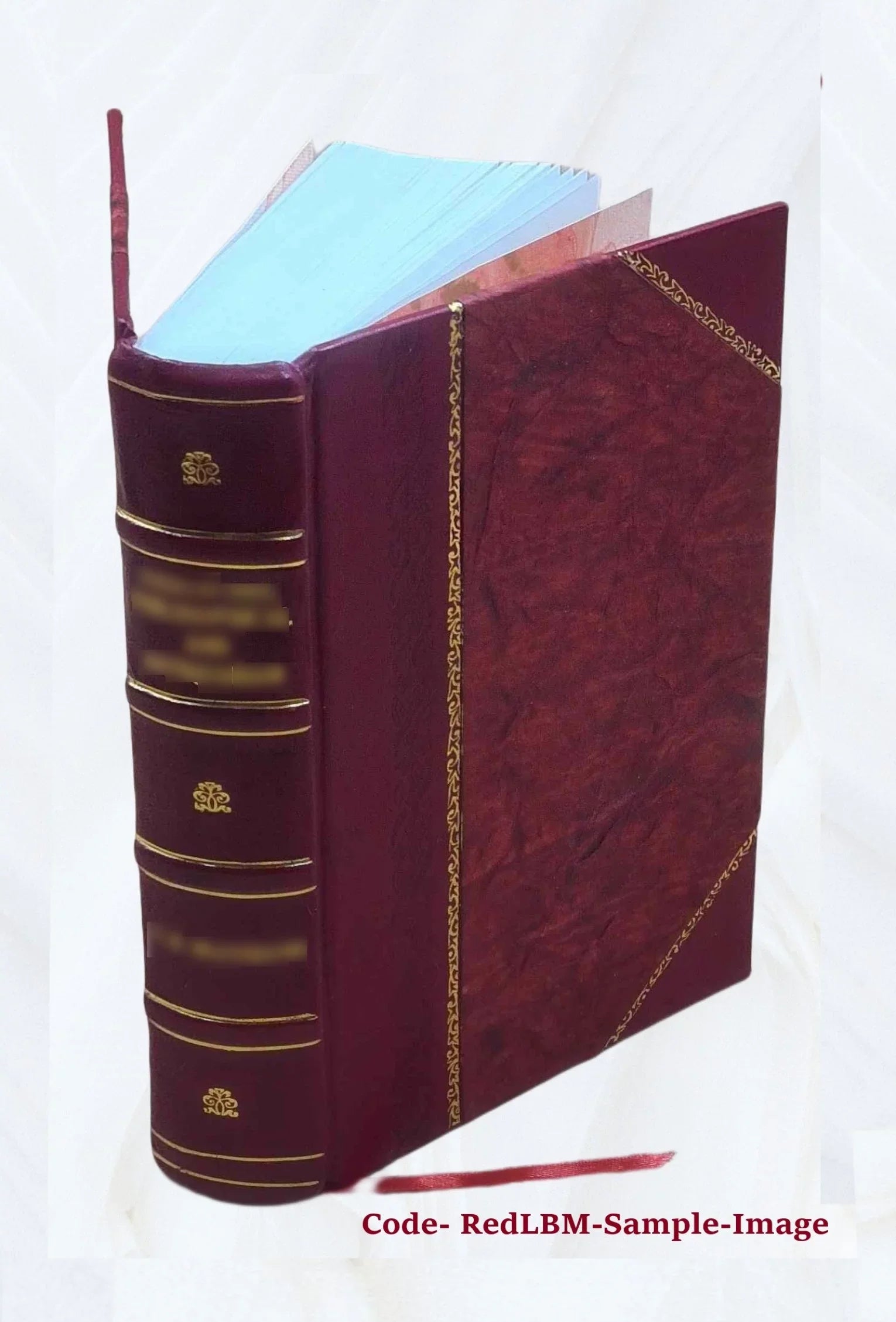 Bibliografia polska. [Sizetólecie XV-XVIII] .. Volume 18 2022 [Leather Bound]