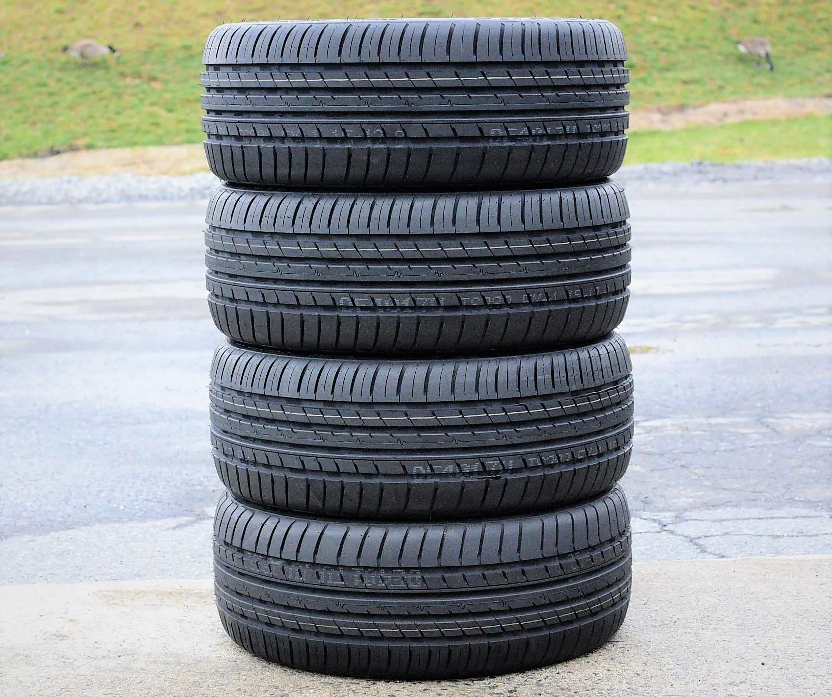 Sizeet of 4 (FOUR) Cosmo MuchoMacho 225/50R17 ZR 98W All Sizeeason High Performance Tires Fits: 2012-15 Chevrolet Cruze LT, 2012-18 Ford Focus Electric