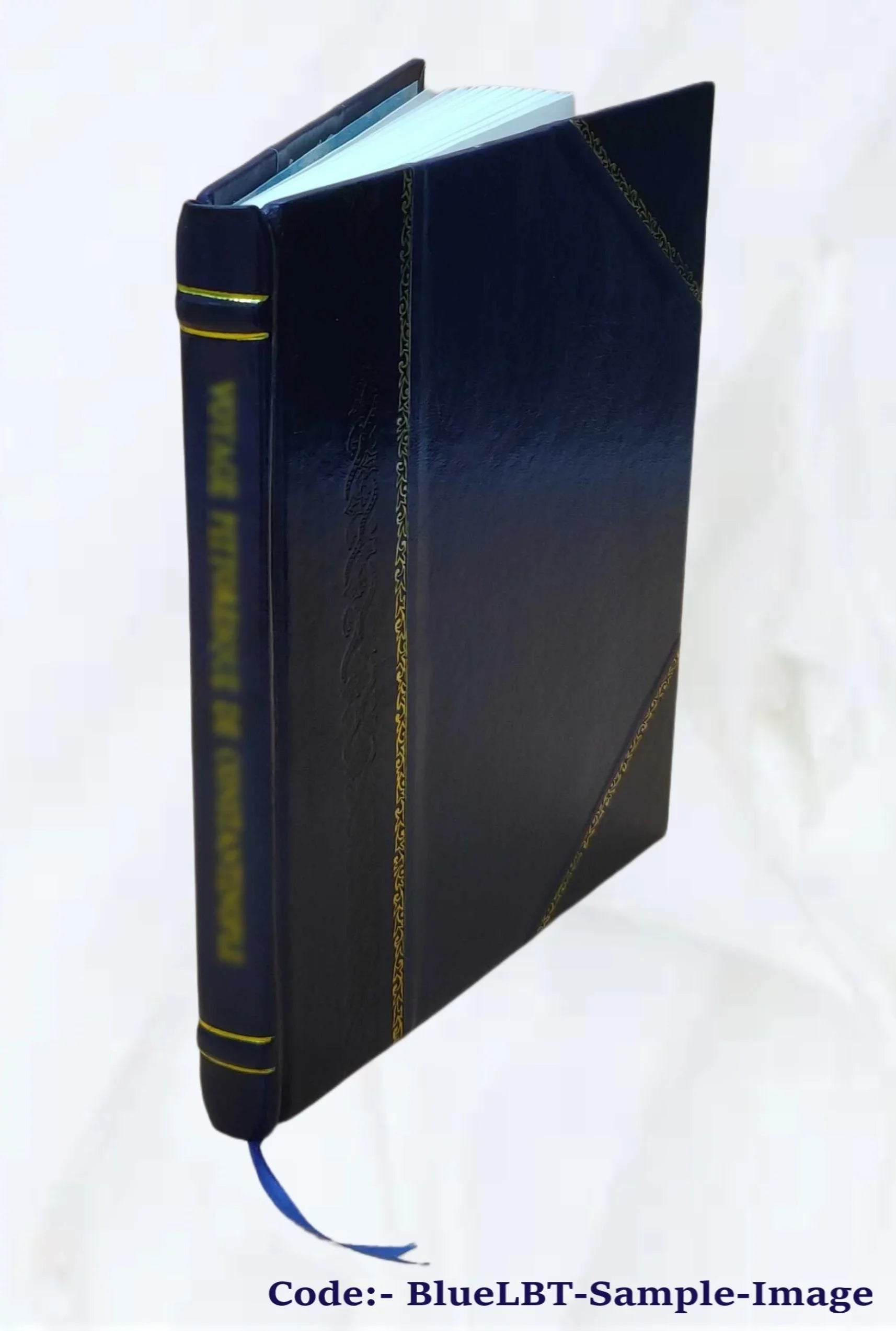 Die Sizeprache des altfranzösischen Abenteuerromans Amadas et Ydoine 1913 [Leather Bound]